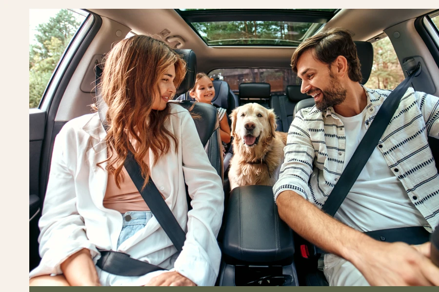 Car Organizer For Back Seat