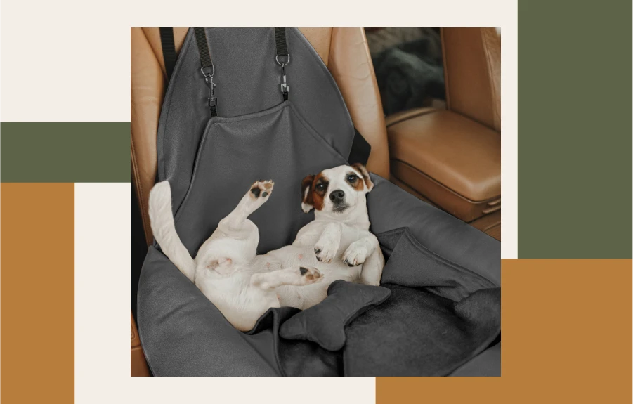 Car Booster Seat For Dogs