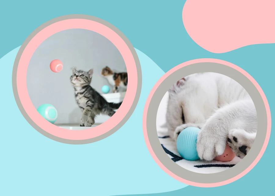 Interactive Cat Toy